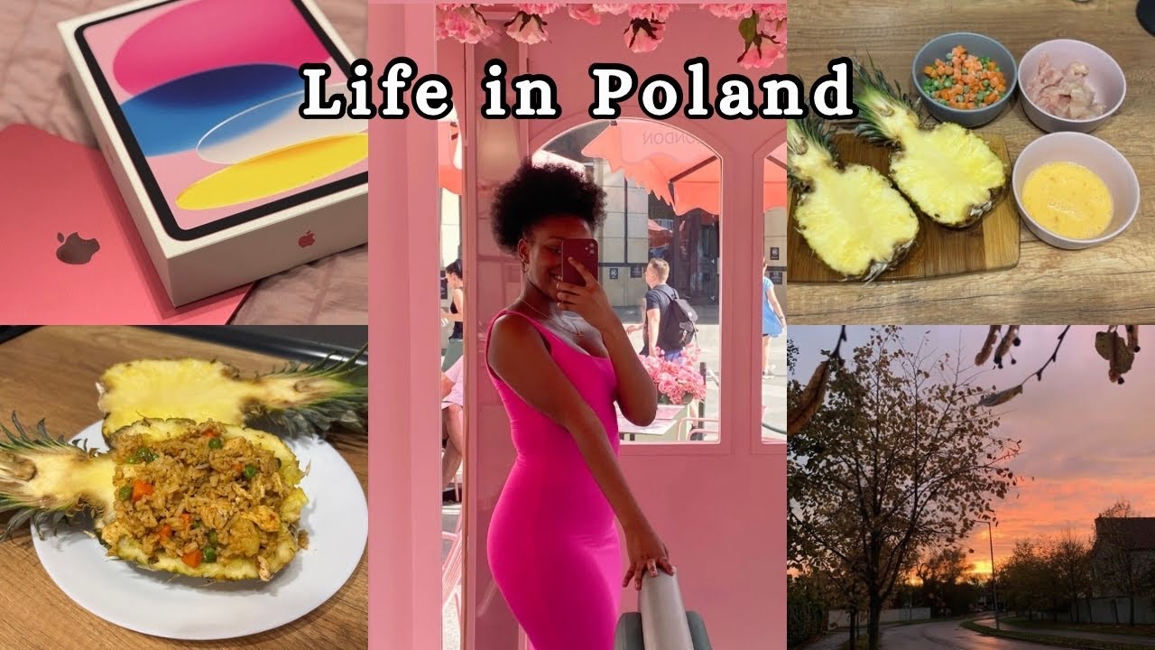 Days in my life in Poland | Living Alone Diaries | Cooking, Easy Pineapple Fried Rice Recipe