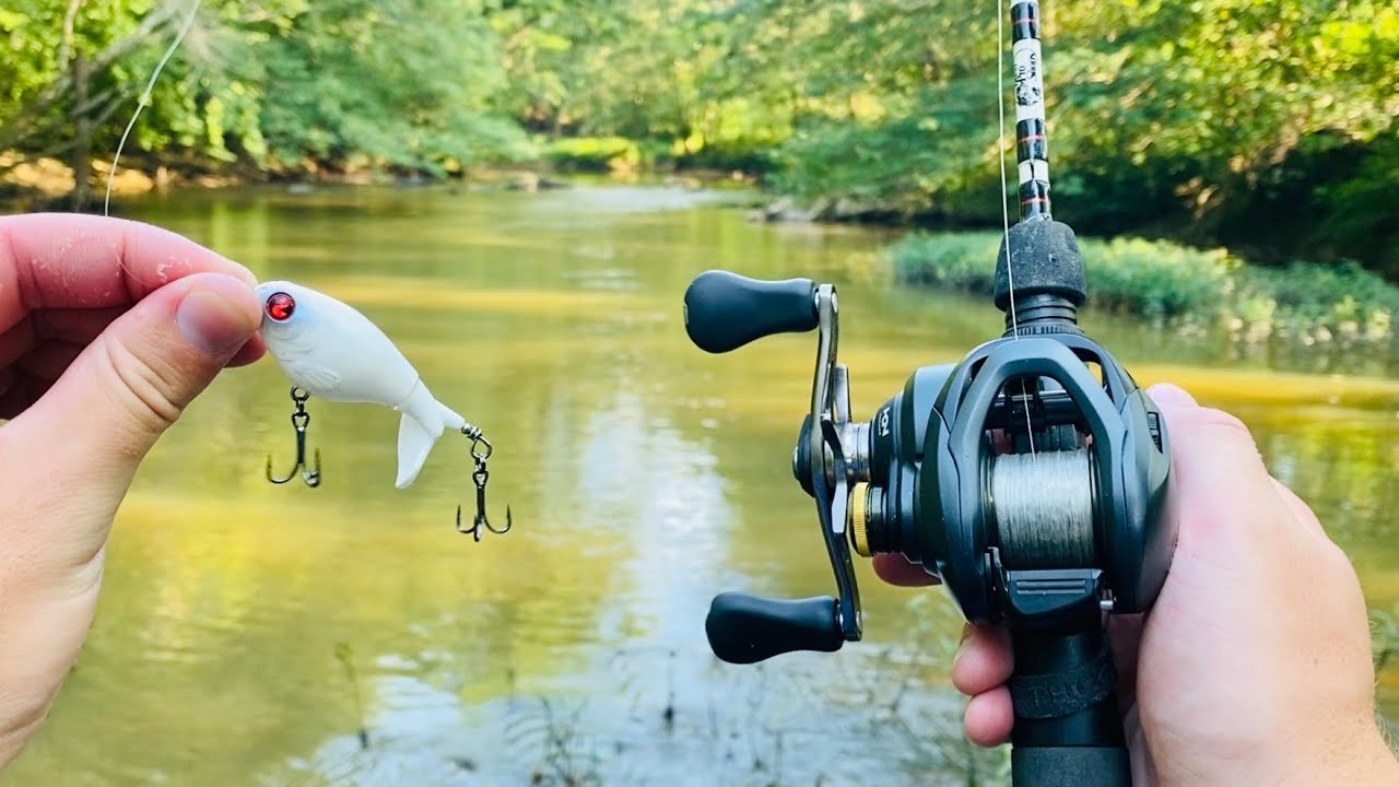 Whopper Plopper 60 TOPWATER River Fishing!!
