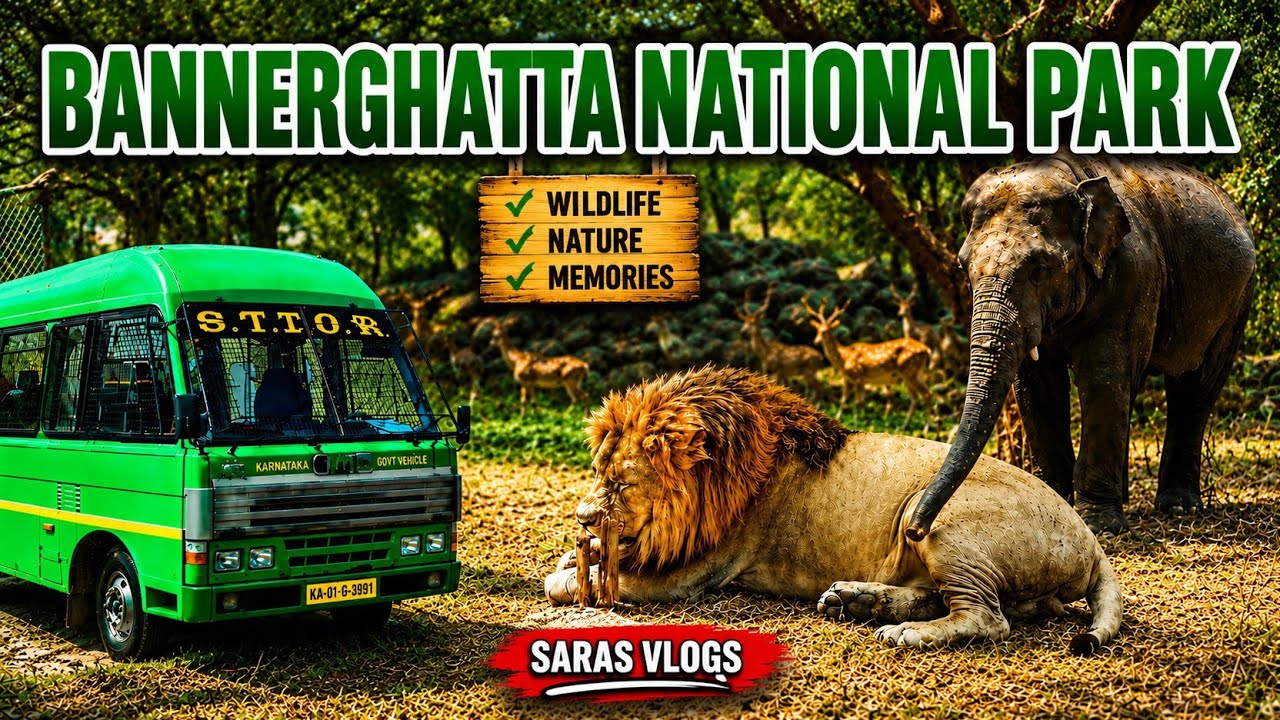 Bannerghatta National park , Bangalore