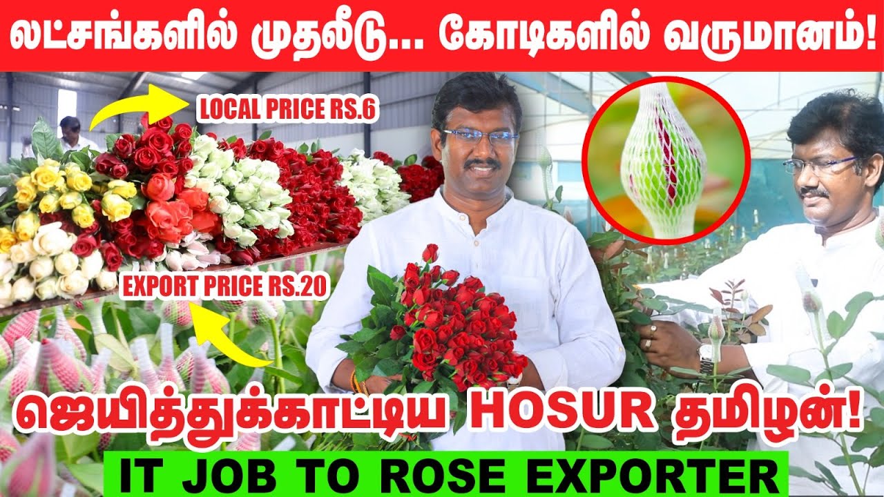 ரூ.1.5 கோடி வருமானம்; Rose Export... இப்படி செஞ்சா லாபம் உறுதி! | Valentine's Day Exclusive