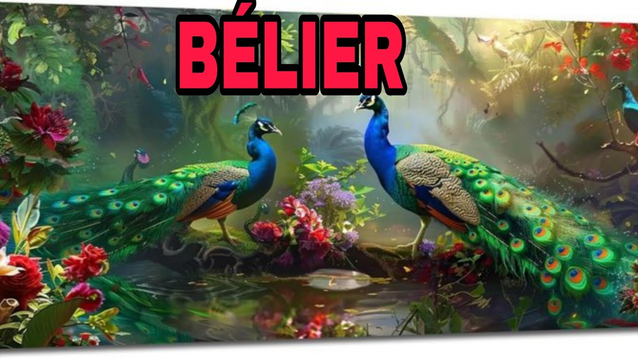 BELIER🚨😍 ‼️ TU VAS FINIR AVEC CETTE PERSONNE 🤐💑 | 