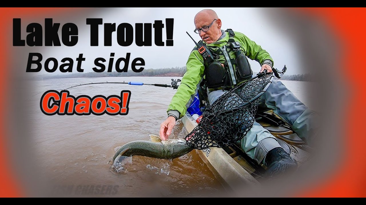 Lake Trout! Chaos at boat side!