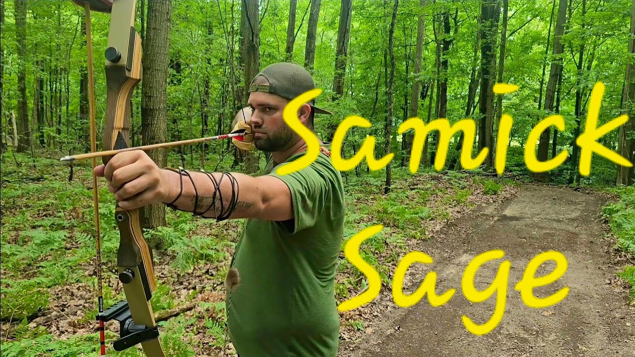Samick sage | ultimate budget bow, or is it?