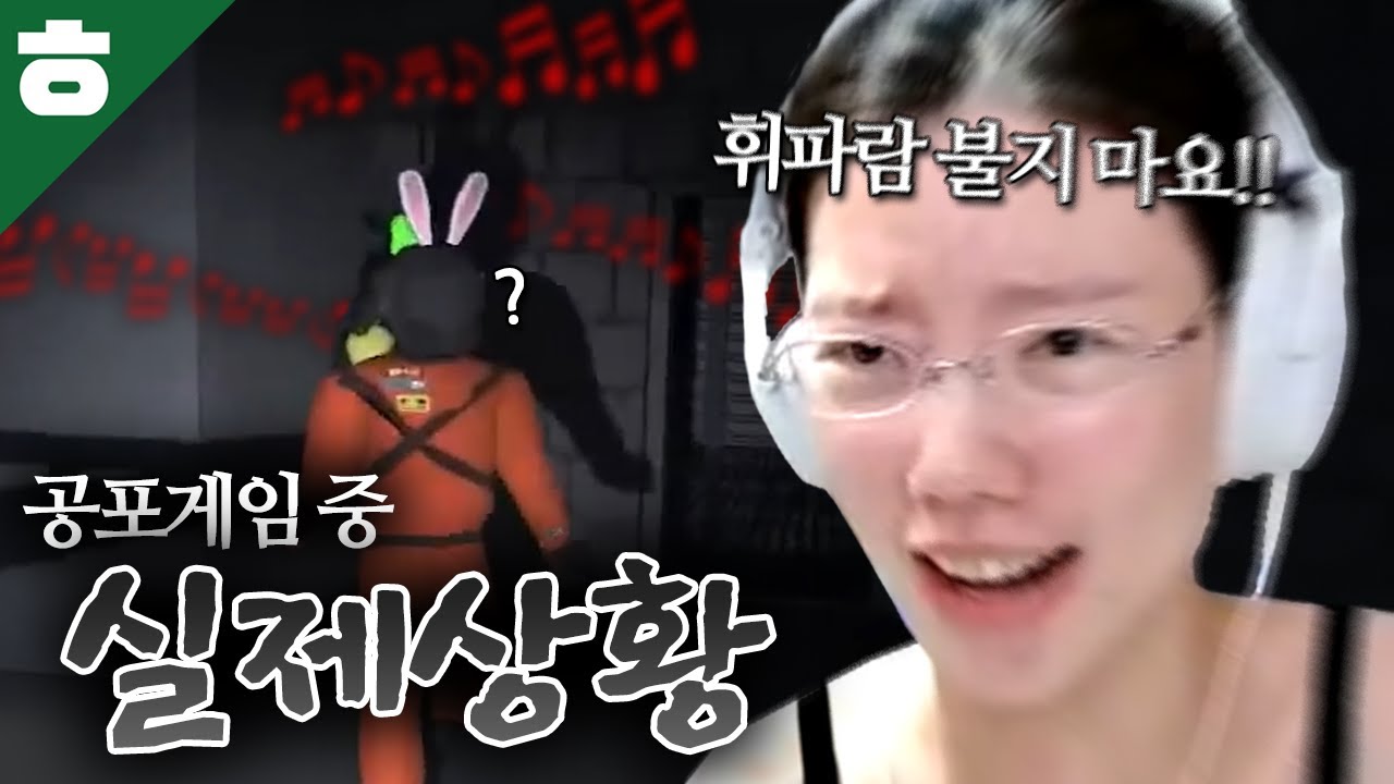 드디어 나왔다 레전드 리썰편 모음집🎵