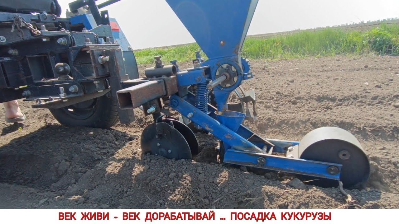ВЕК ЖИВИ - ВЕК ДОРАБАТЫВАЙ...ПОСАДКА КУКУРУЗЫ МОТОБЛОКОМ, СЕЗОН 2025 / PLANTING CORN, SEASON 2025