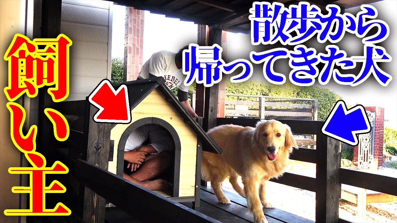 散歩から帰ってきた時に犬小屋の中に飼い主がいたら？【ドッキリ】