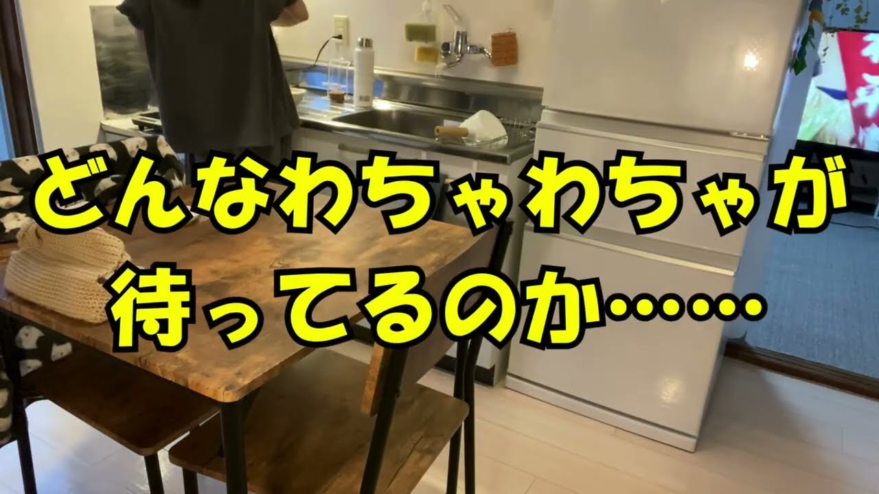 【vlog】花粉症が……｜晩御飯作り｜シンママ　子供と猫との暮らし🐈