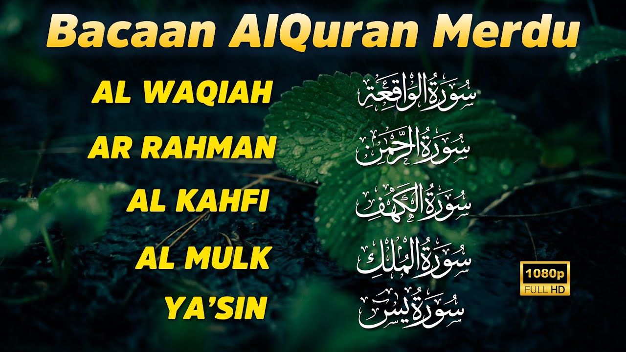 BACAAN AL'QURAN MERDU ALMULK,ARRAHMAN,ALWAQIAH,YASSEN,Al Kahf | By Ismail Alqadi