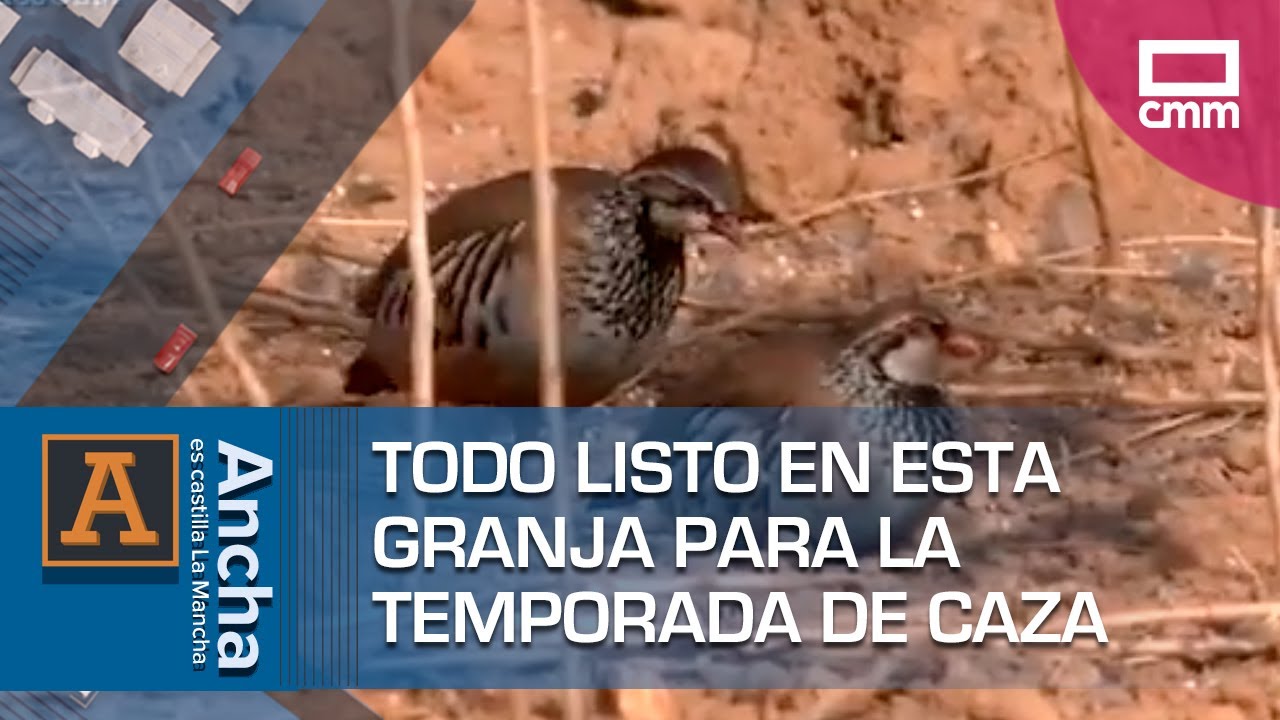 Todo listo en esta granja para la temporada de caza