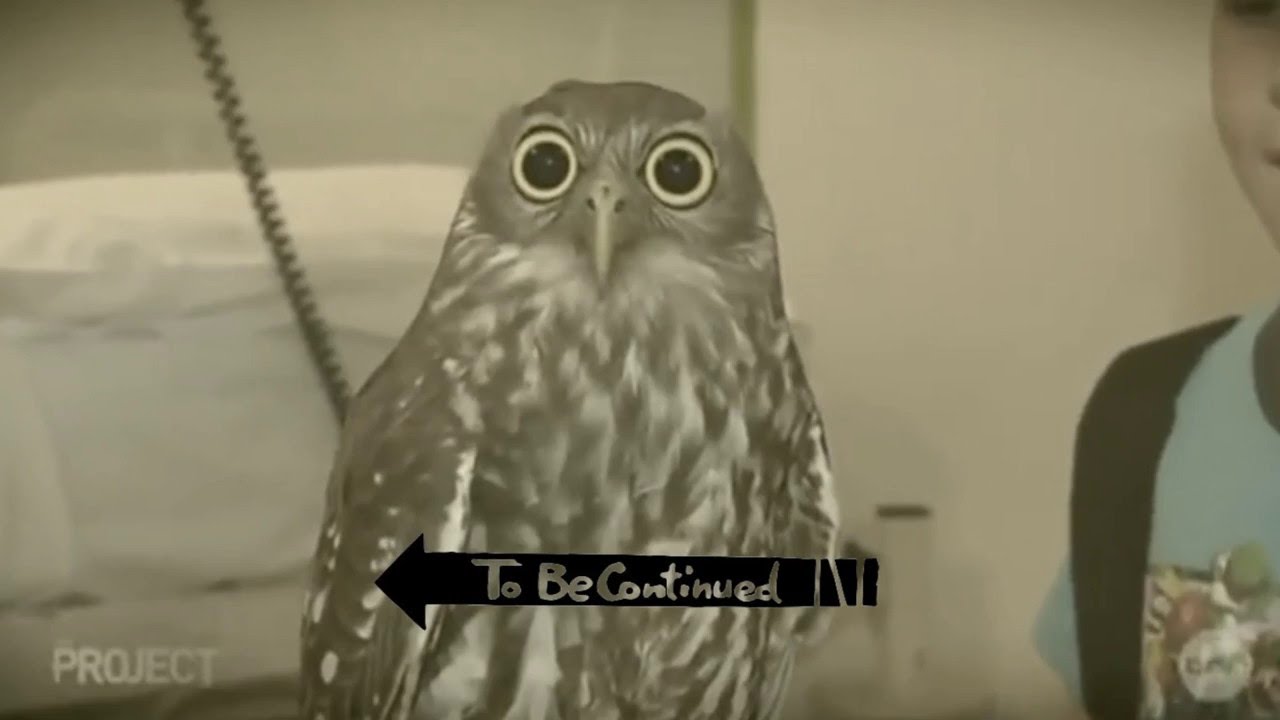 To Be Continued...Best To Be Continued Vines Compilation!!!!