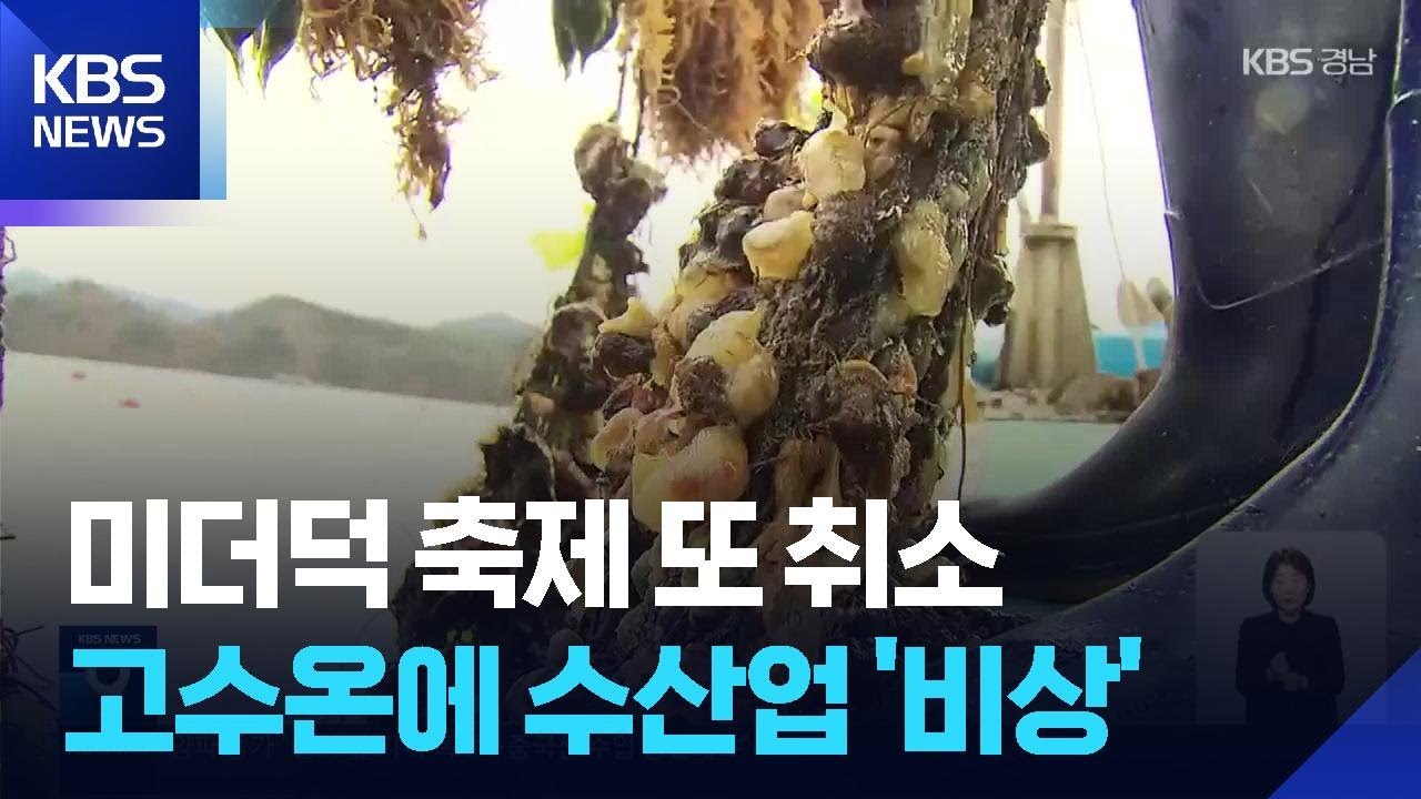 ‘미더덕 축제’ 또 취소…고수온에 수산업 ‘위기’ / KBS  2026.03.05.