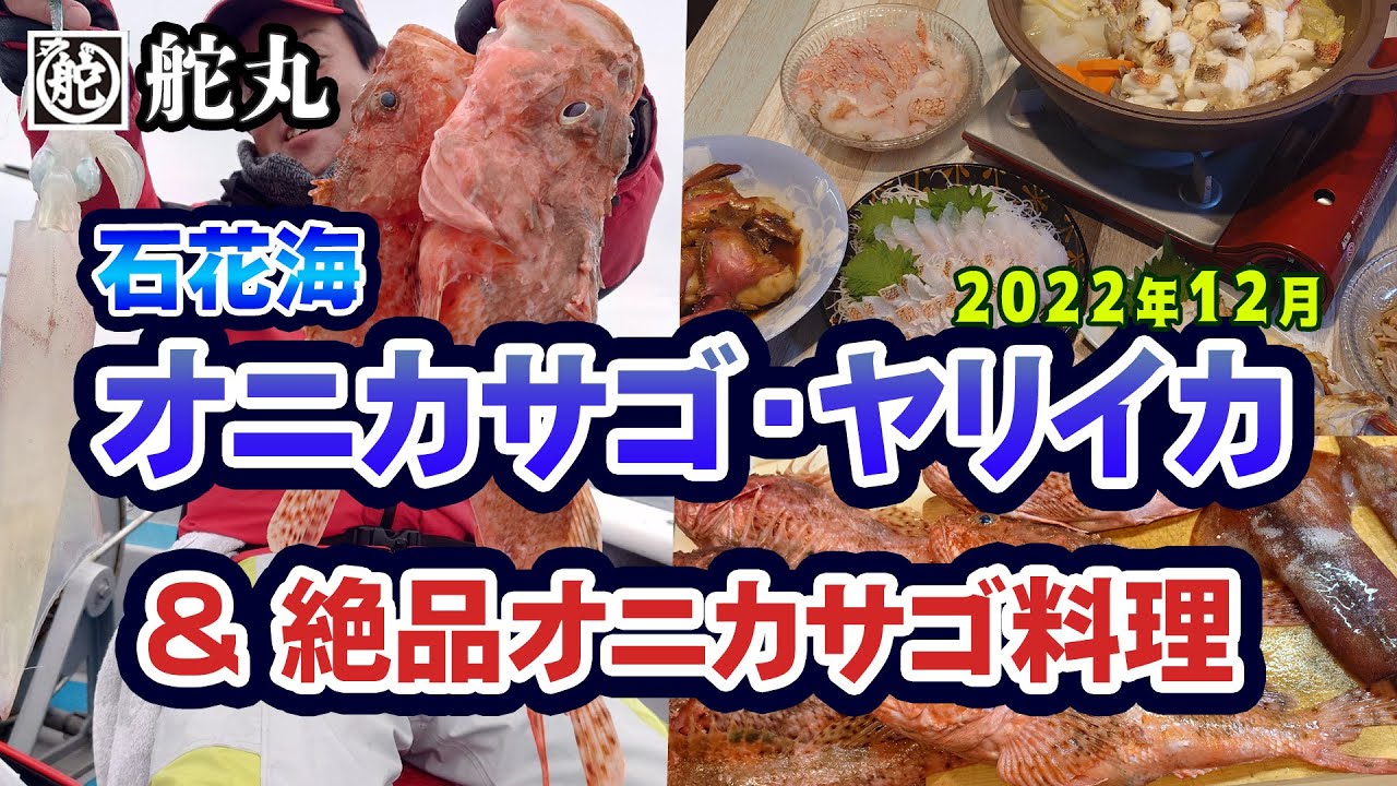 【鬼カサゴ・ヤリイカ】冬の石花海ヤリ＆オニ◆釣りと料理◆絶品オニカサゴ料理・鬼鍋!!【沼津港 舵丸】2022.12.17(4K動画)