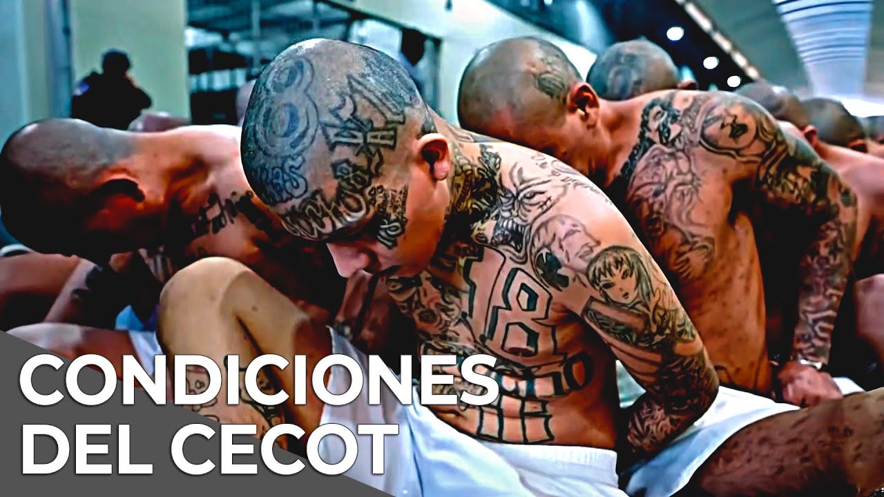 Dentro del CECOT la prisi&oacute;n m&aacute;s grande de Latinoamerica | Documental Completo en Espa&ntilde;ol