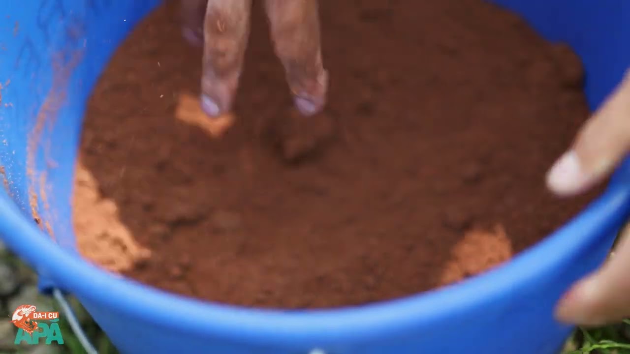 Cum se prepara nada pentru feeder?!