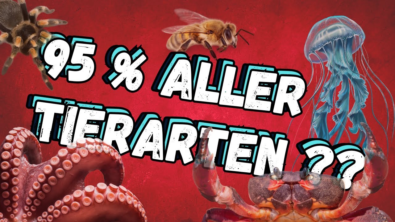 Tierische Vielfalt: Wirbellose Tiere und ihre Besonderheiten