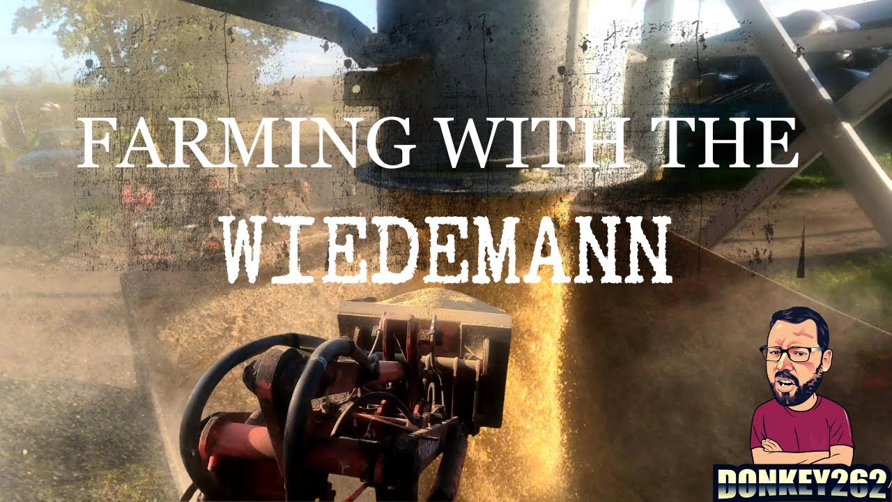 DONKEY262 - Shovelling With The Wiedemann