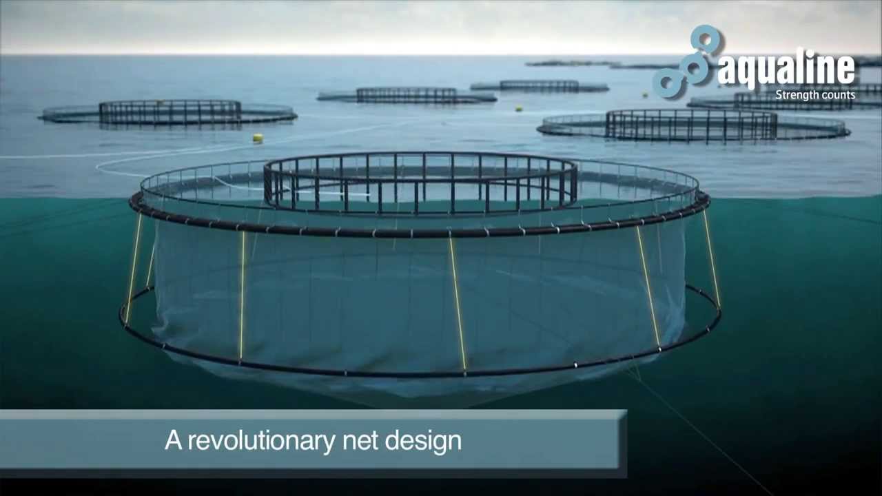 Presentasjons film av Aqualine