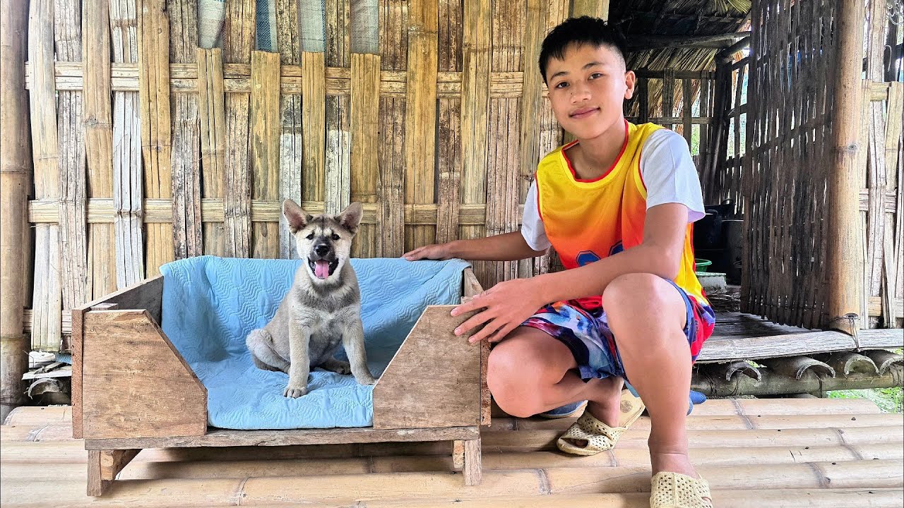 Nam's daily life. Nam's made a very warm wooden bed for Mun. Mun was very happy to have a new bed