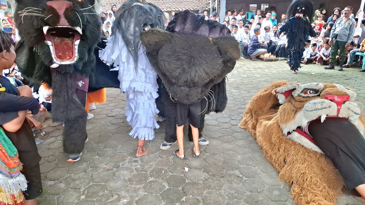 Full caplokan‼️barongan macan new pandawa