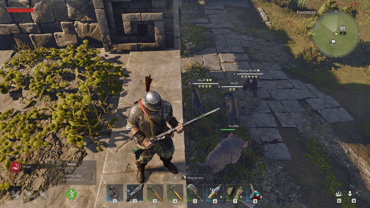 Windrose! How to craft gunpowder, make planters and get your own fighting pet boar!