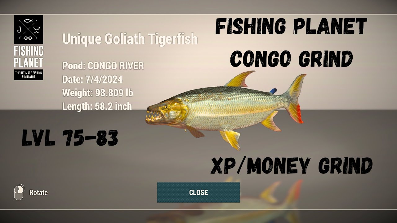 Unique Goliath Tigerfish XP/Money | Fishing Planet Congo River