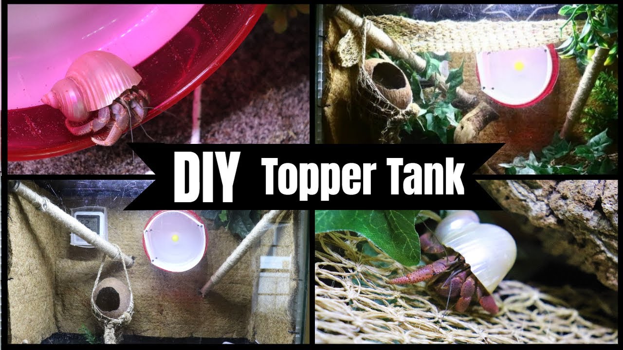 DIY Topper Tank (20 gallon second level)!!!