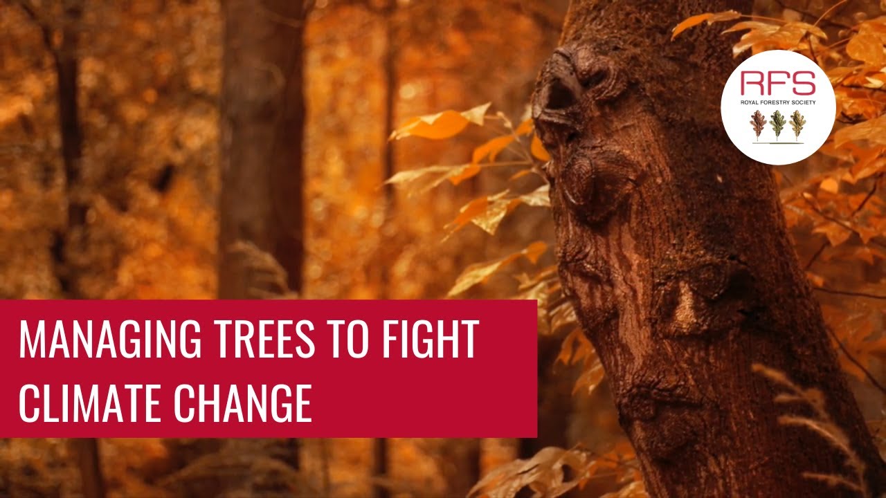 Silviculture and Climate Change