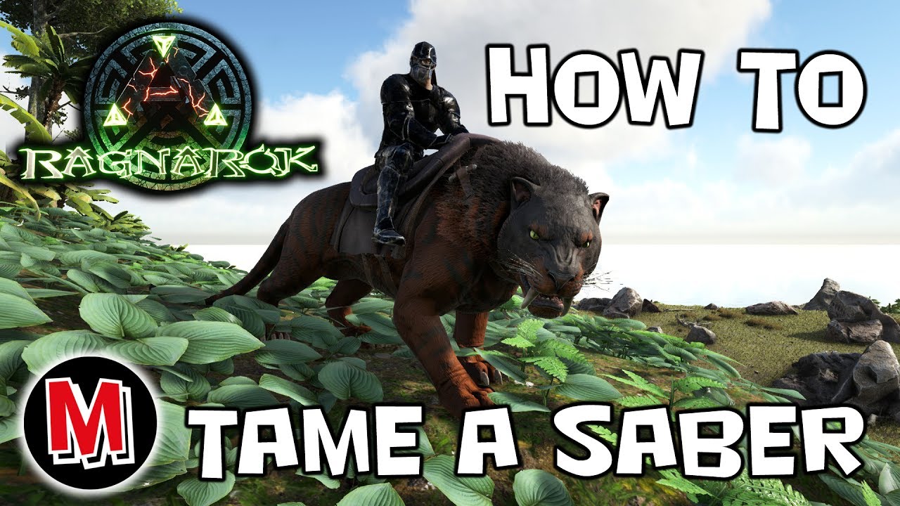 ARK Ragnarok How To Tame a Sabertooth