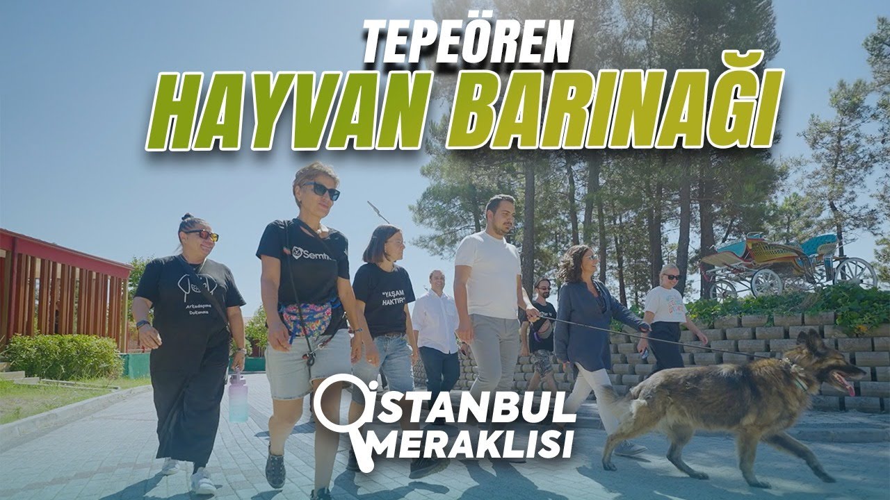 TEPEÖREN SAHİPSİZ HAYVAN BAKIMEVİ | İSTANBUL MERAKLISI