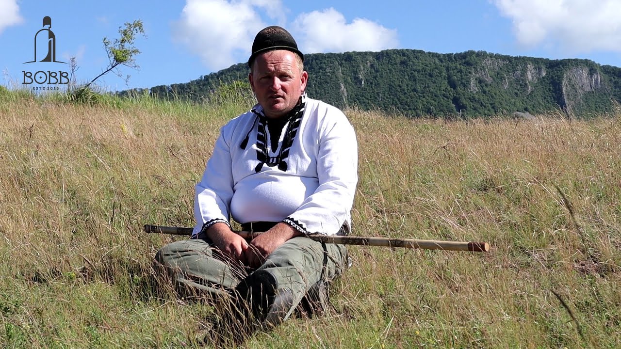La stâna lui Ancheș Marius (Dupu) din satul Dumbrava de Sus, Hunedoara | Cum se face brânza telemea?