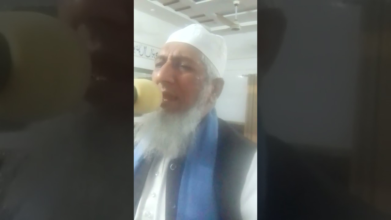 بہت ہی خوبصورت نعت شریف ہم گنہگاروں کو سرکار سنبھالے ہوں گے