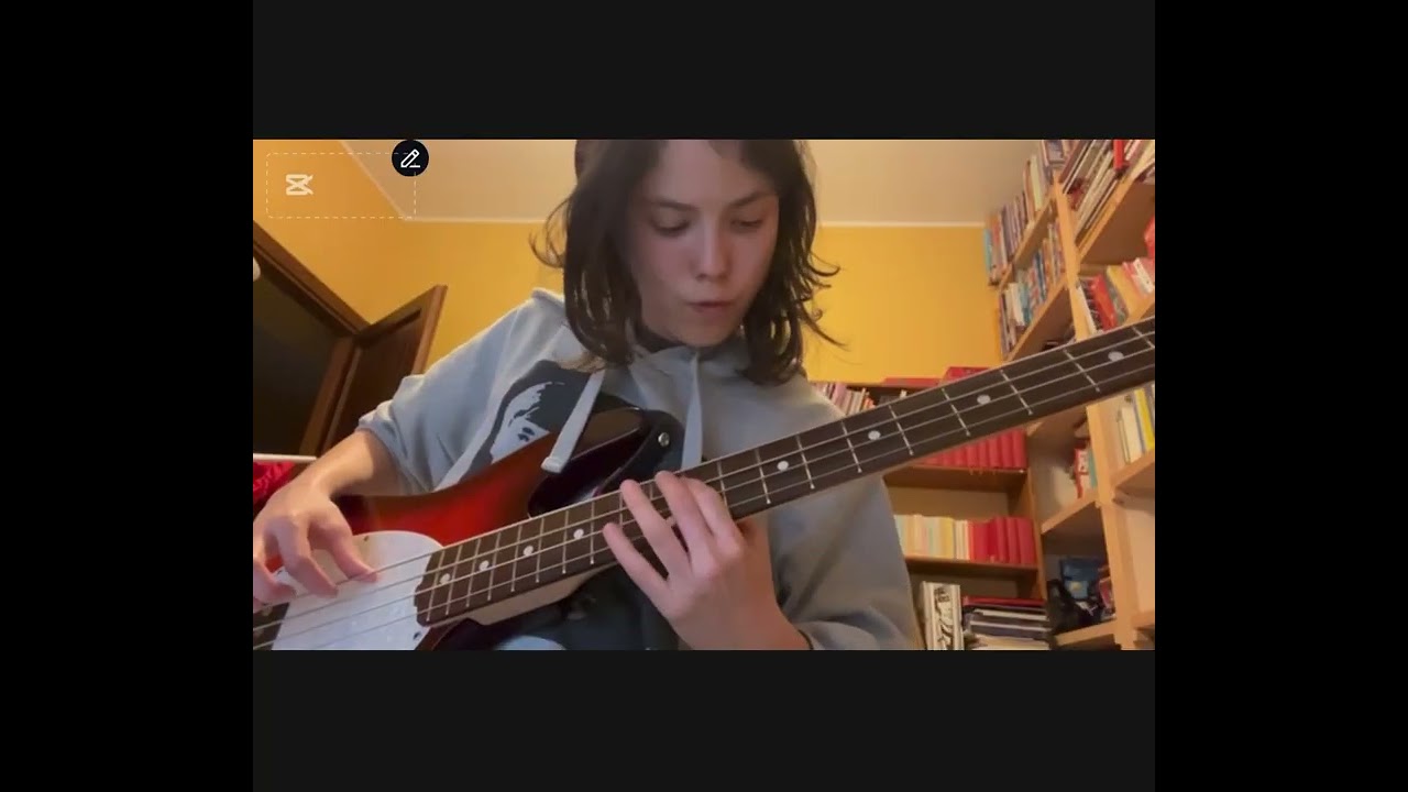 Theory requirements : major and minor scales, and single notes 