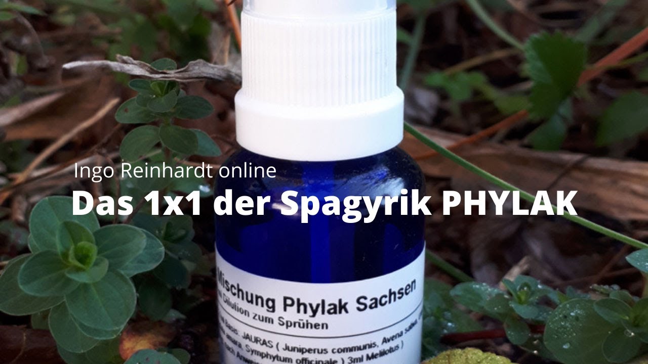 Ingo Reinhardt: Der Memory-Code zum 1x1 der Spagyrik PHYLAK