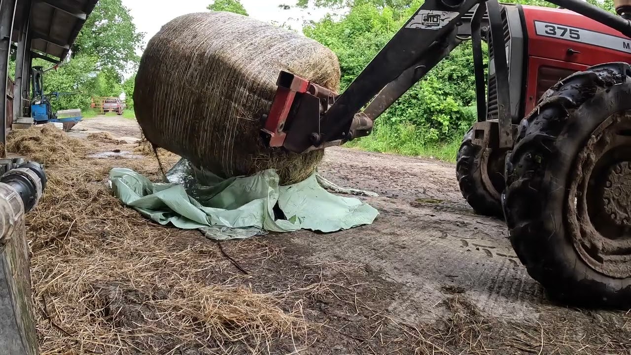 Future Plans And A Pre Silage Catch Up!