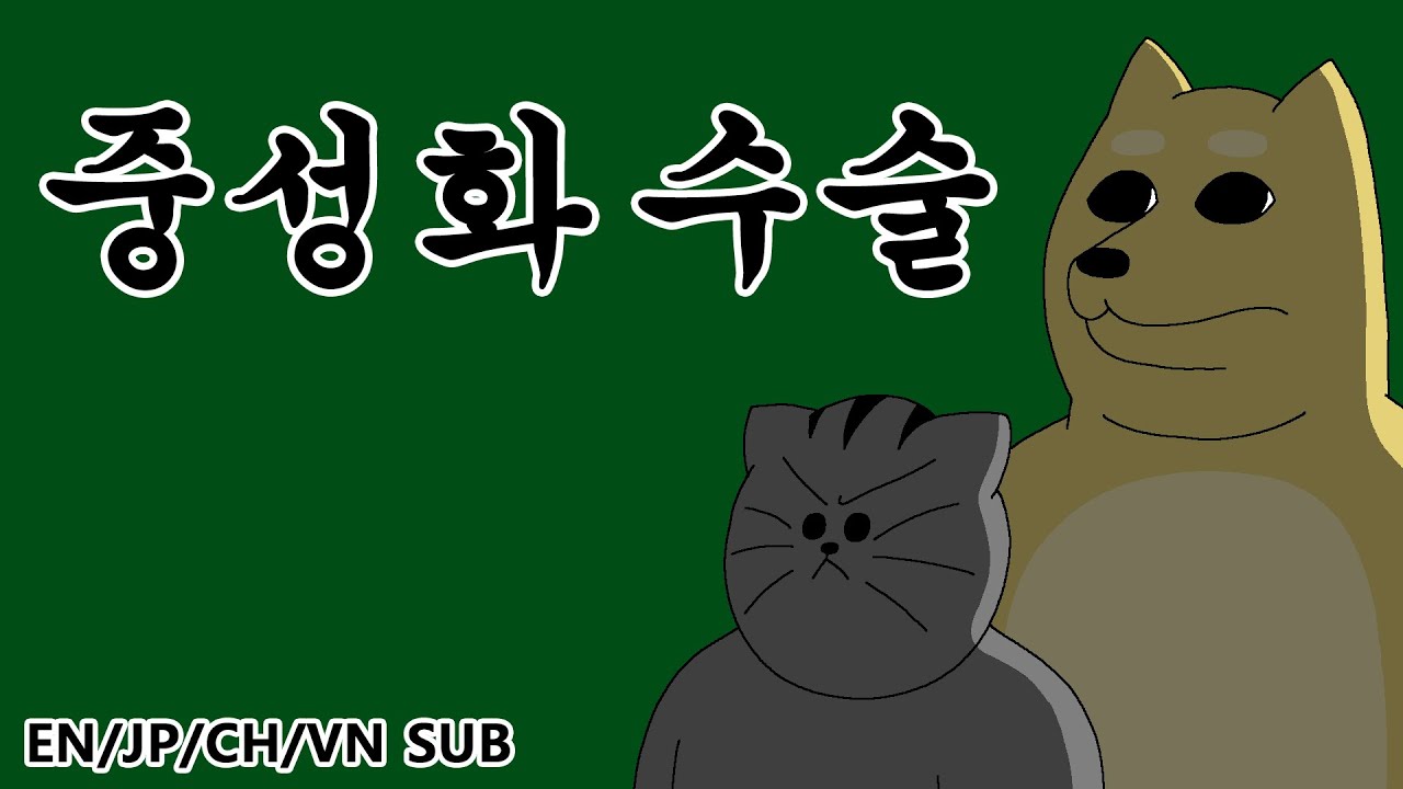 [짐승친구들] 중성화 수술