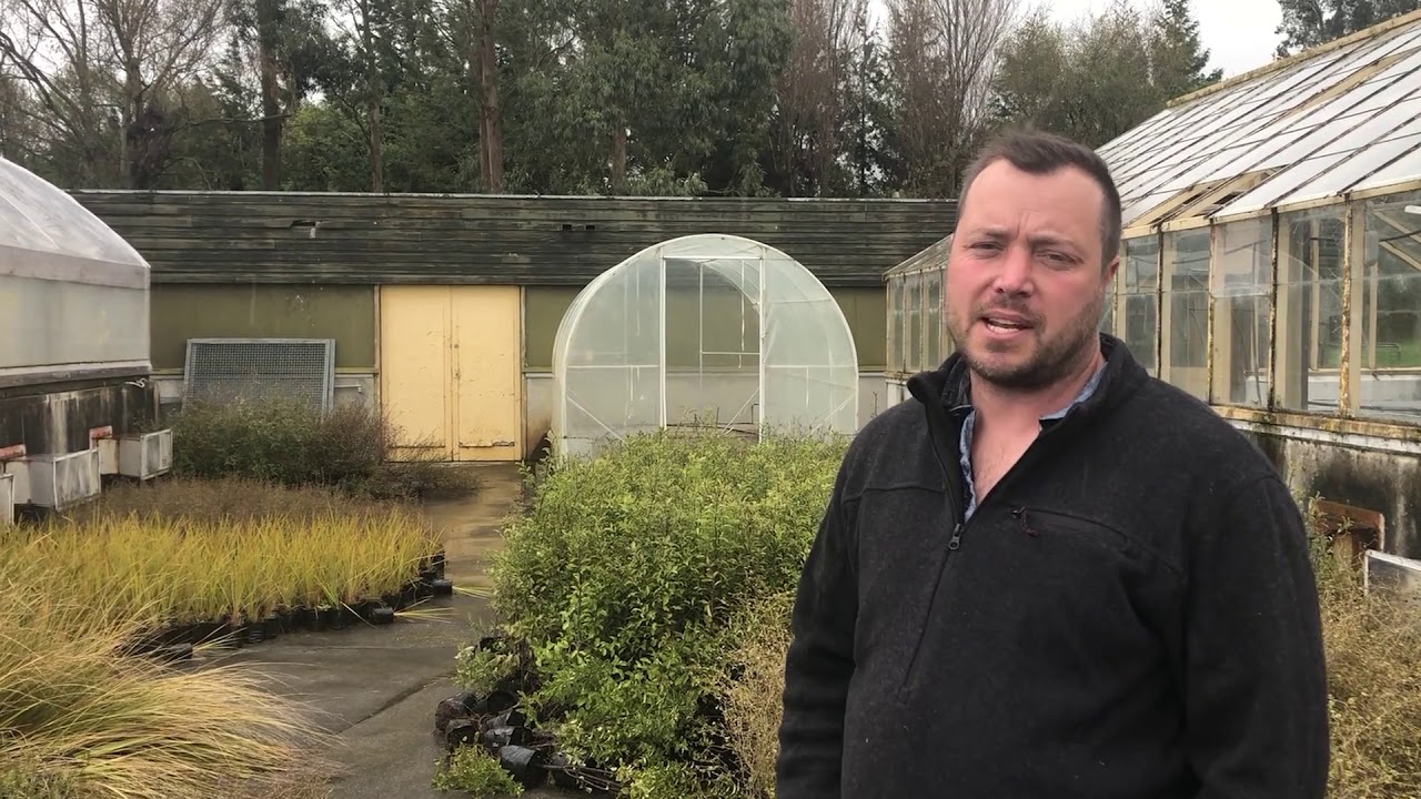 Big savings with on-site native nursery