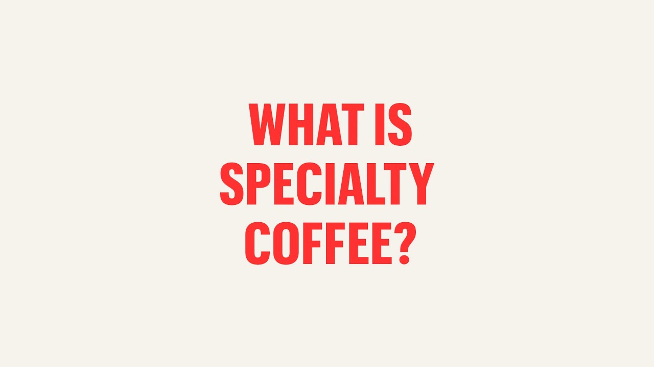 Coffee For Everyone: What Is Specialty Coffee?