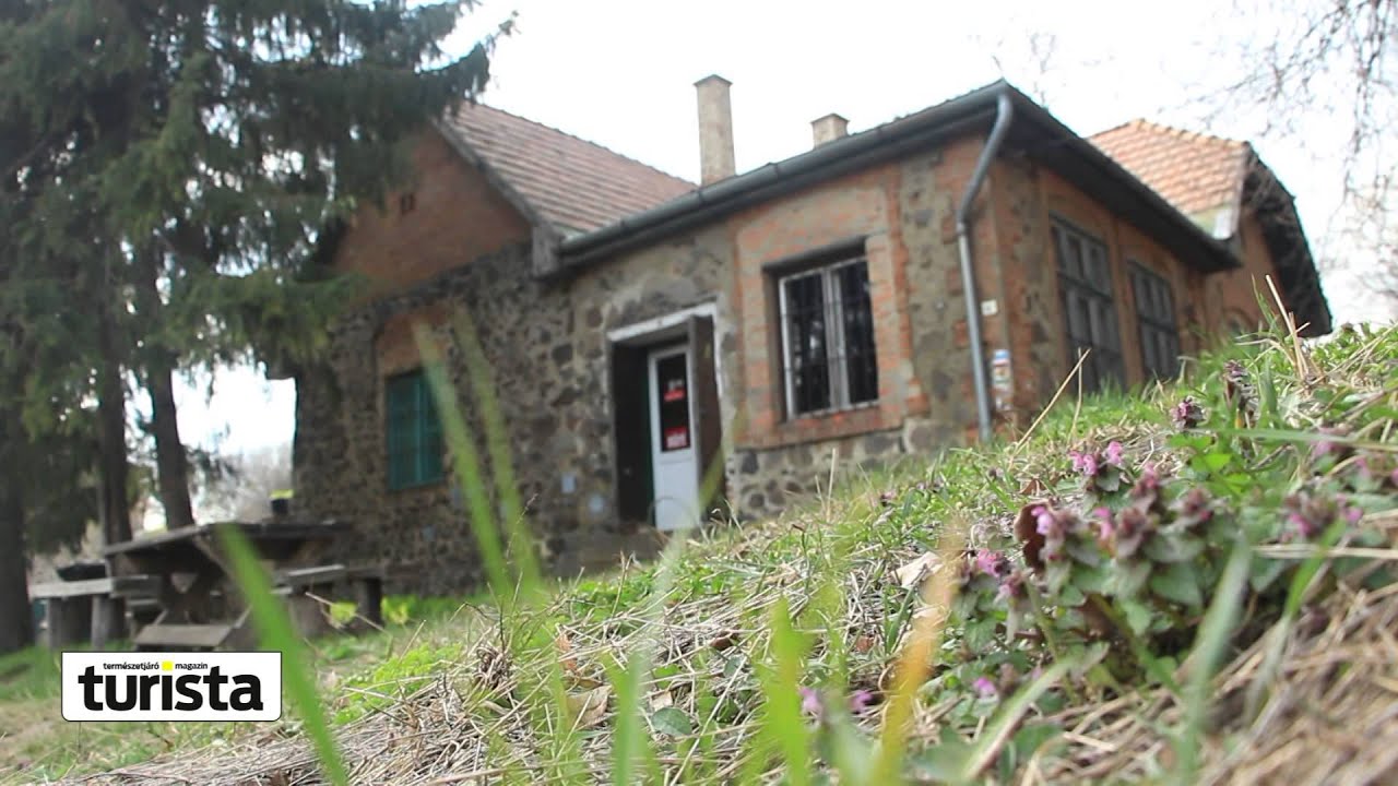 Portré - Juhász János