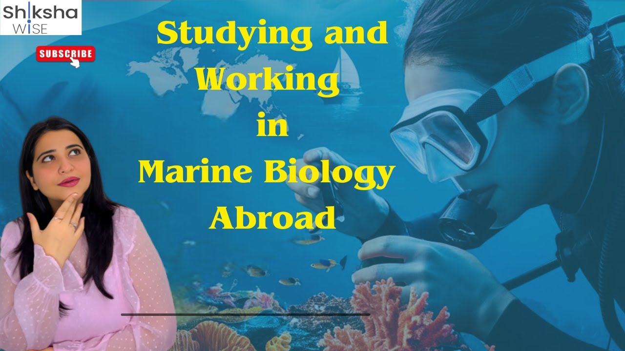 Is Marine Biology Your Dream Job? Go Global! |Student accommodation | Amberstudent @staywithamber