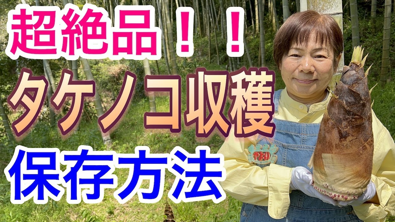タケノコの収穫・保存方法