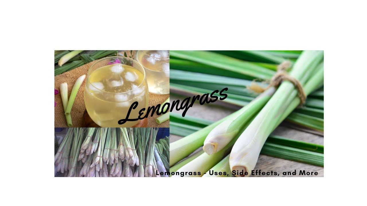 Lemongrass   Uses, Side Effects, and More