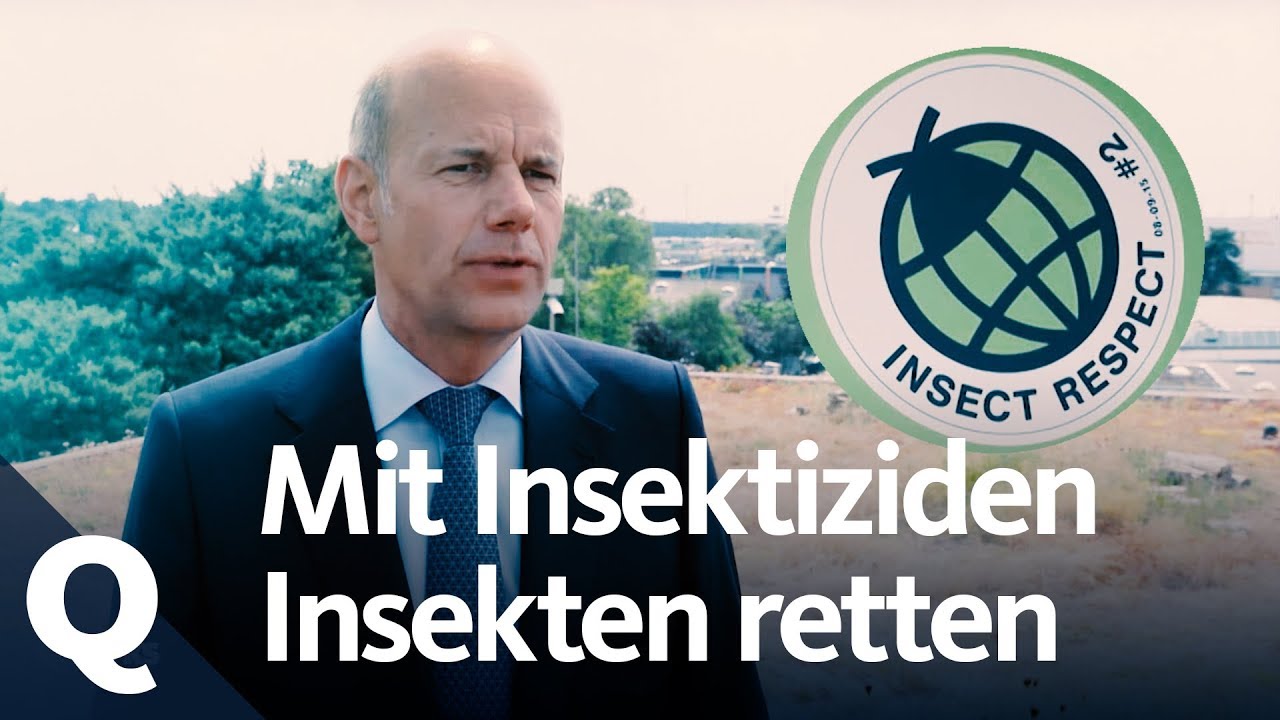 Insektensterben: Dieses Produkt t&ouml;tet und hilft Insekten zugleich | Quarks