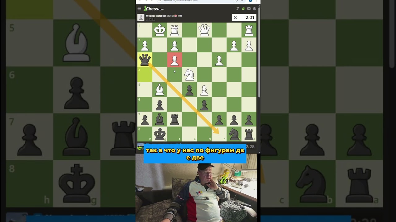 217 Чесском