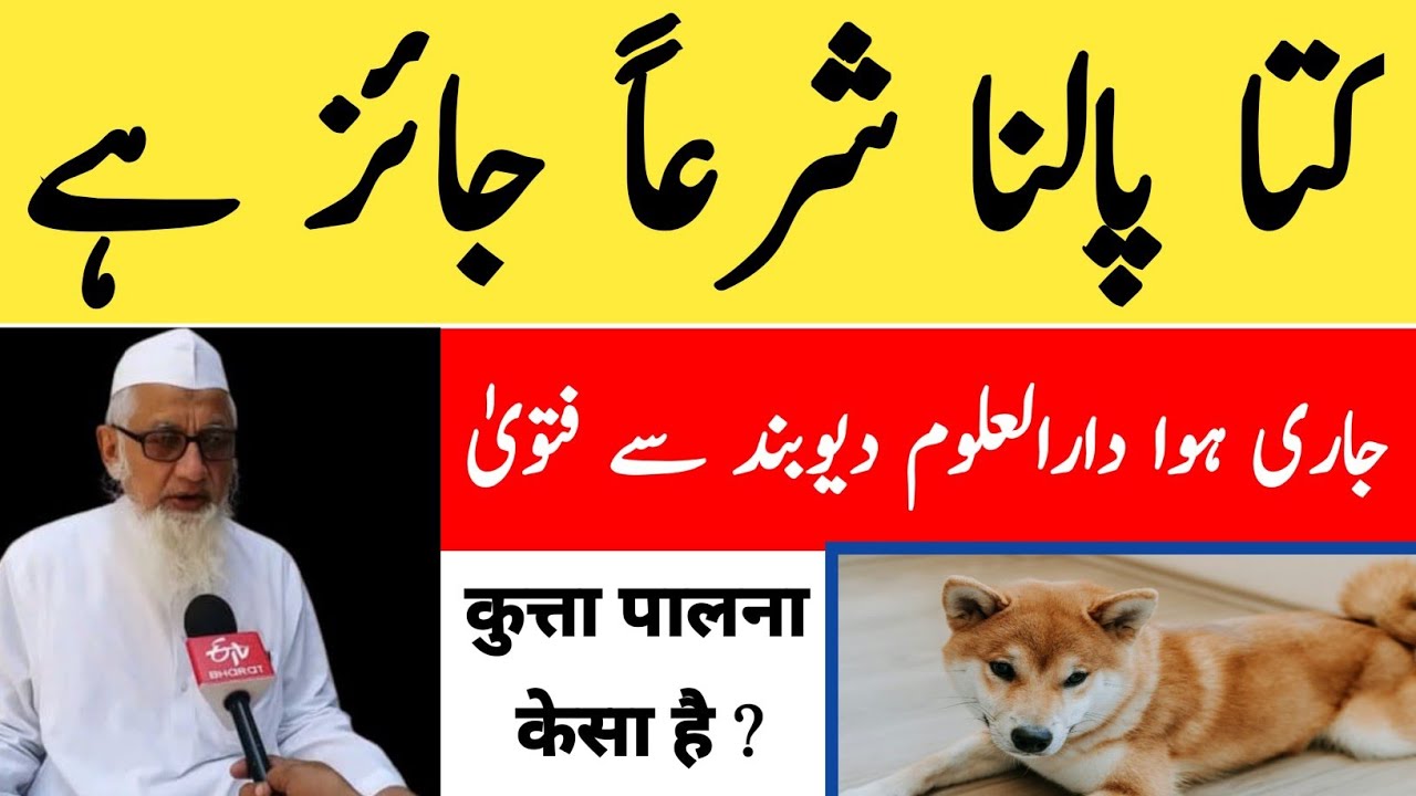 1 February 2026 ghar mein dog palna kaisa hai? darul uloom deoband ka fatwa