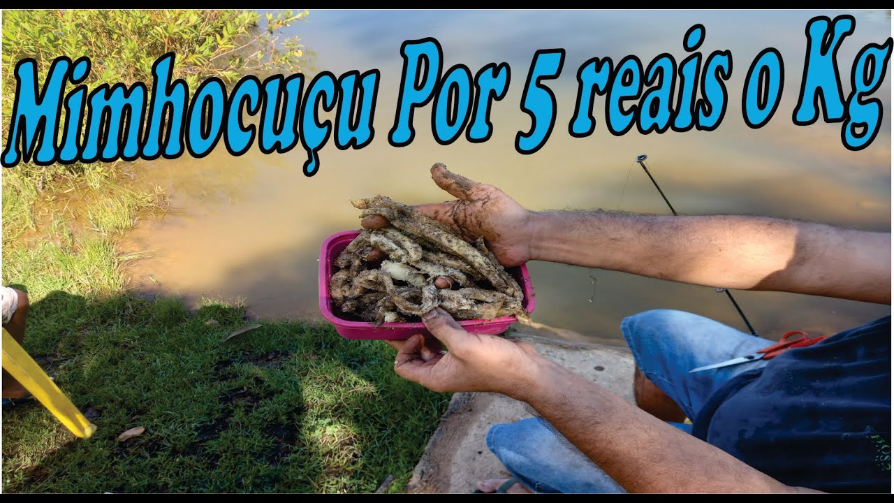 Minhocuçu por 5 reais o Kg Faço vx memo a melhor isca pra pescar
