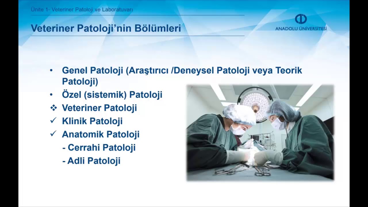 TEMEL VETERİNER PATOLOJİ - &Uuml;nite 1 &Ouml;zet