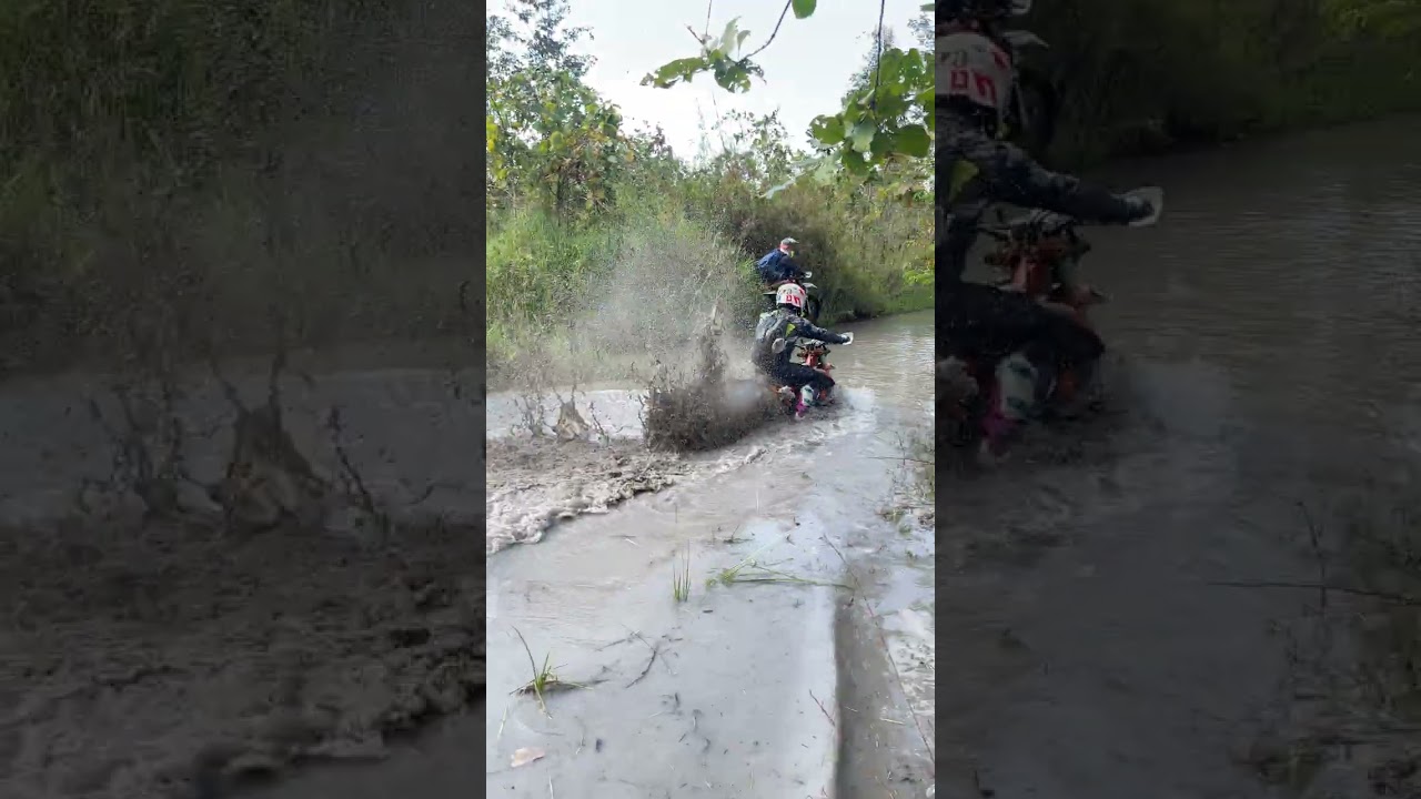 ចាស់ៗជិះលេងភក់