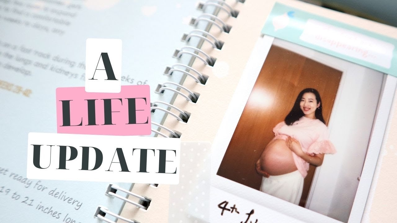 Life/Job Update and Q+A