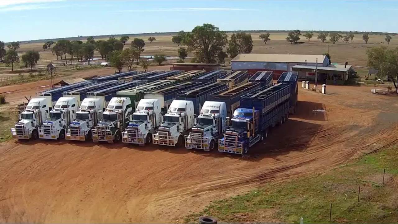 Morts Trucks Australia 5
