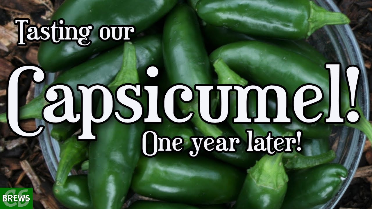 Holy Hot Mead!  What Does Aged Capsicumel Taste Like?